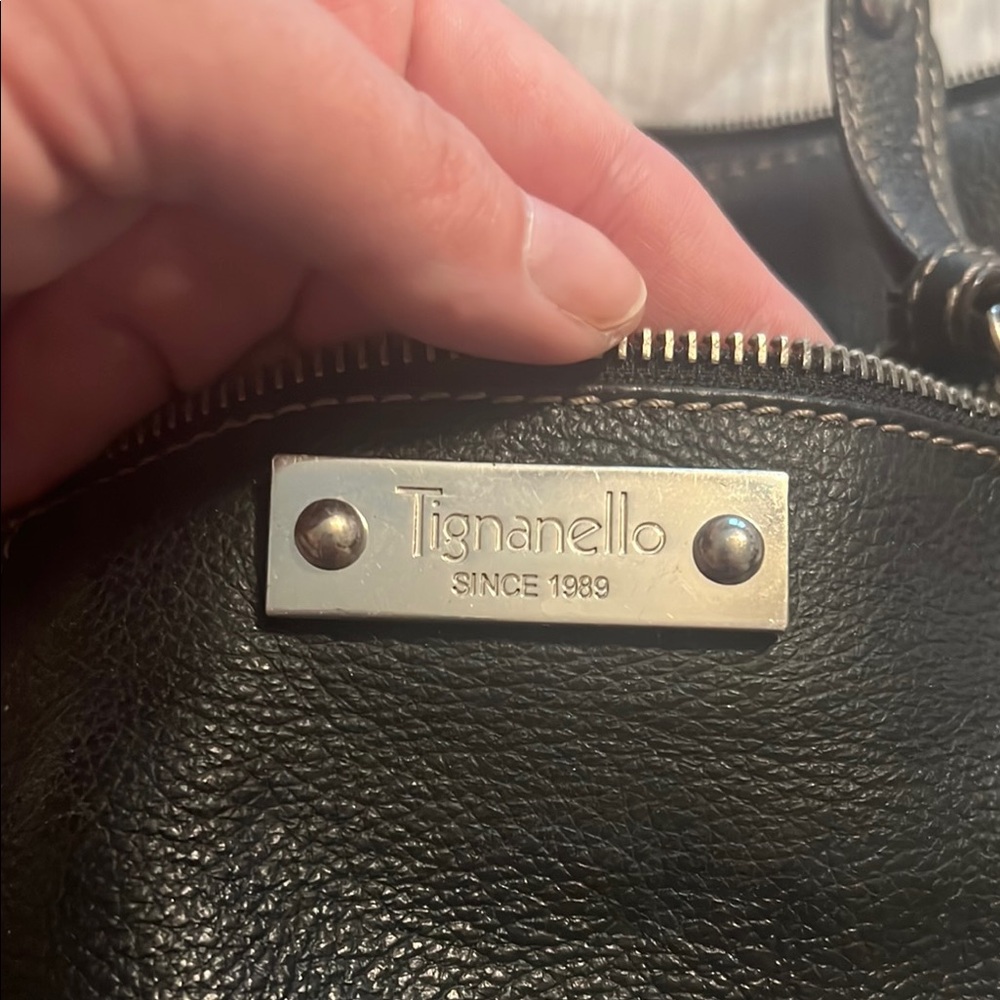 Tignanello Black Leather Purse with Silver Details